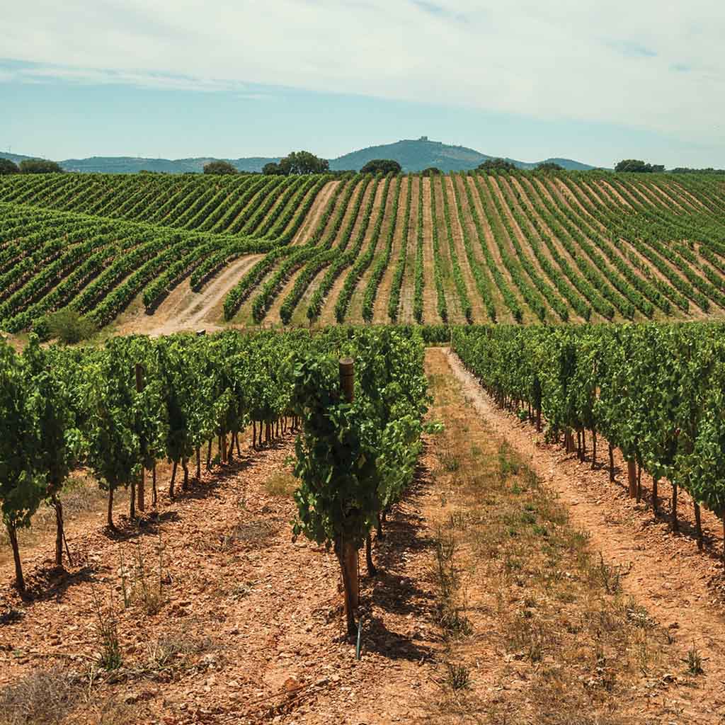 Product background image