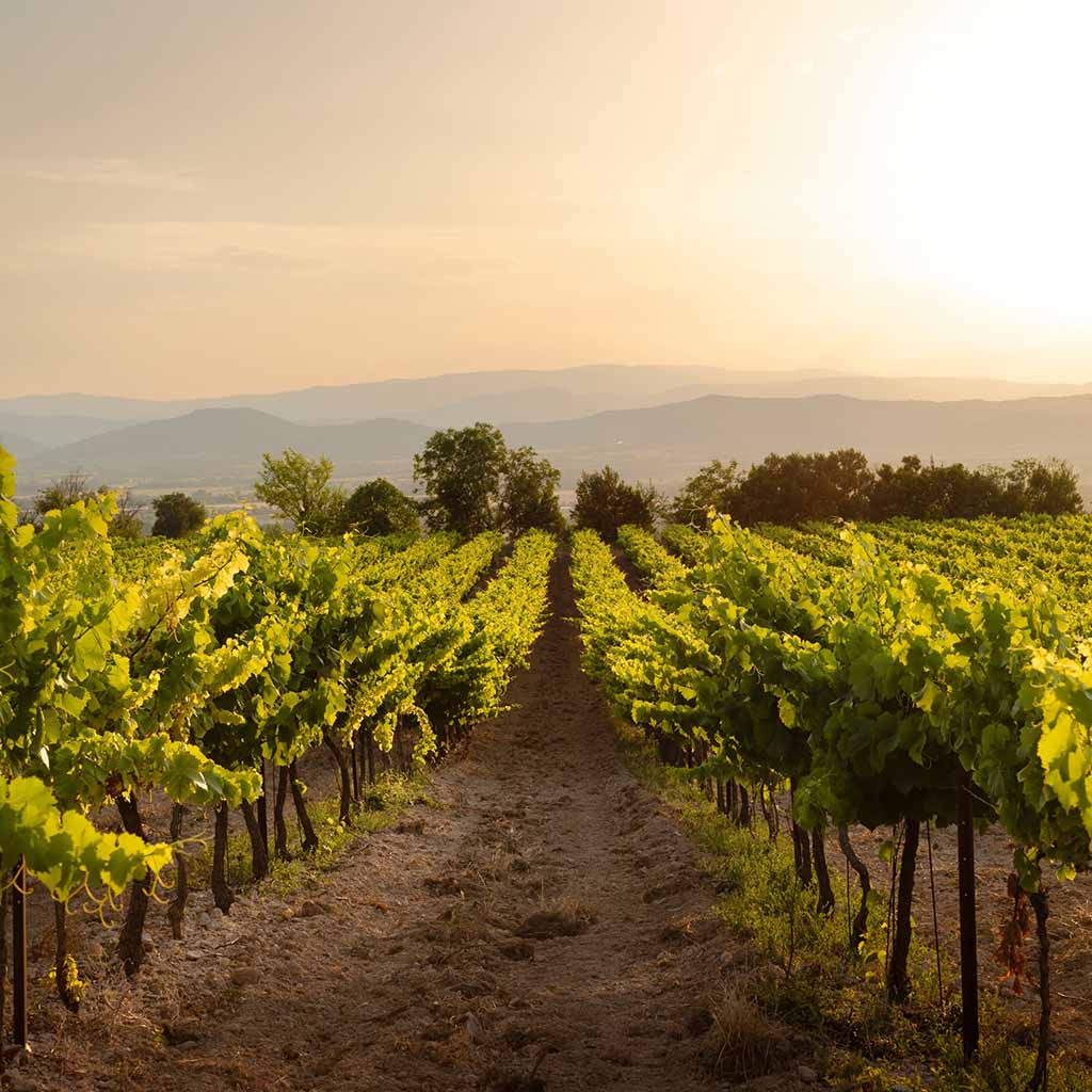 Product background image