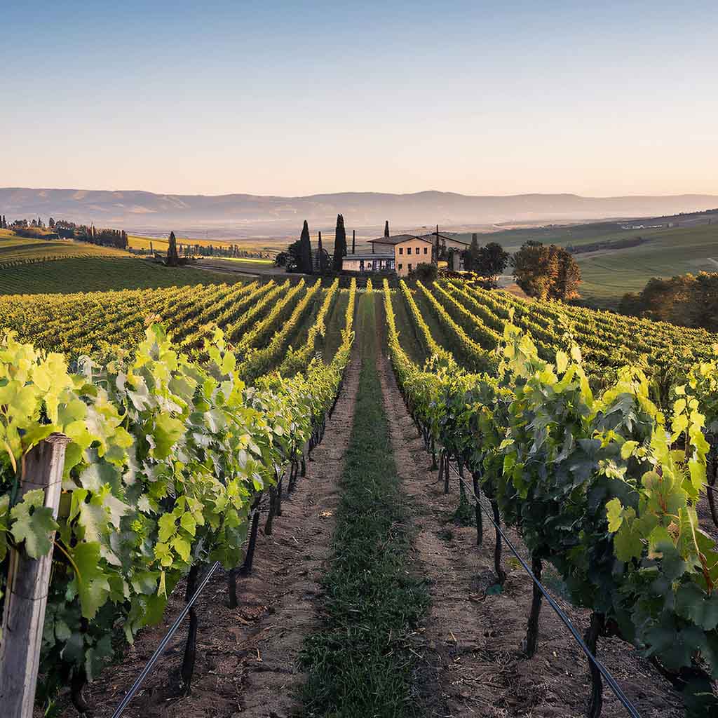 Product background image