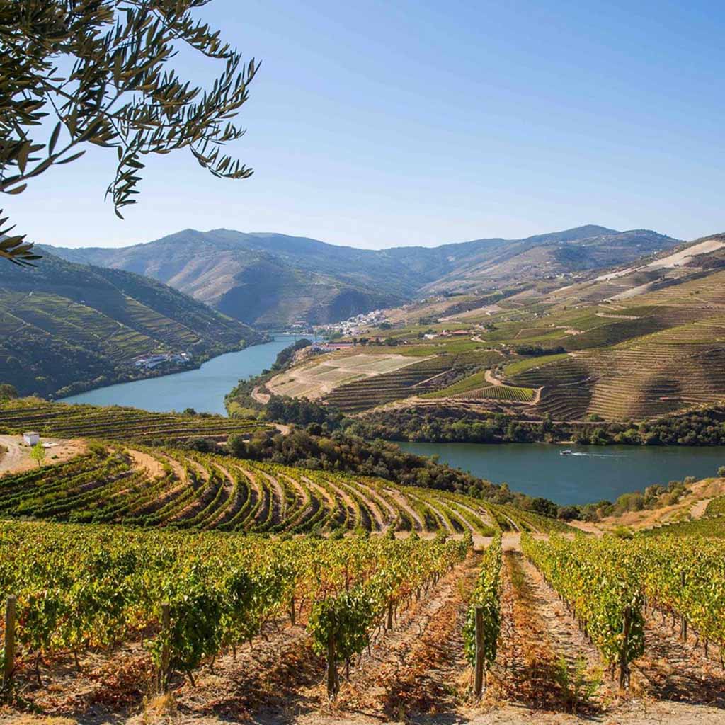 Product background image