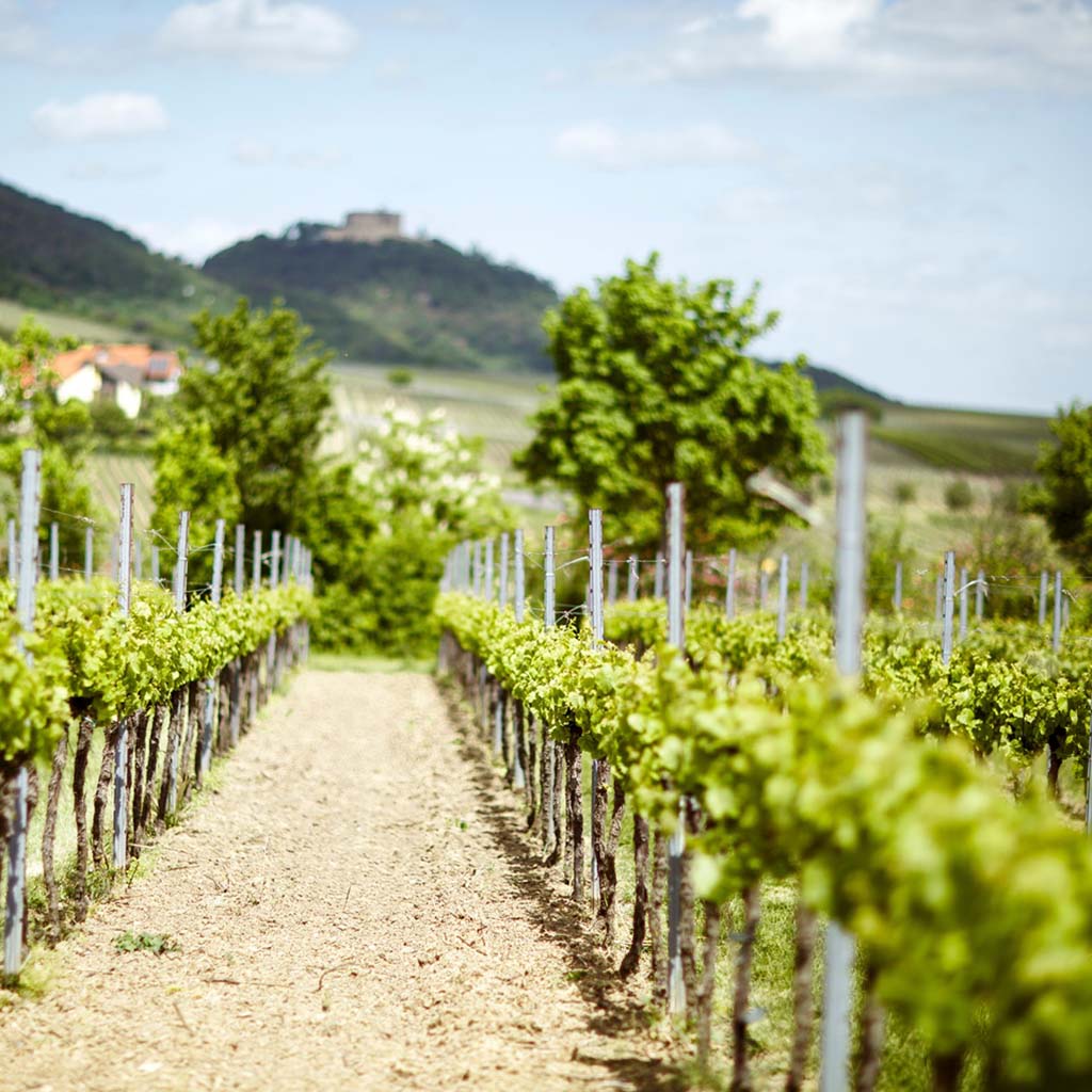 Product background image