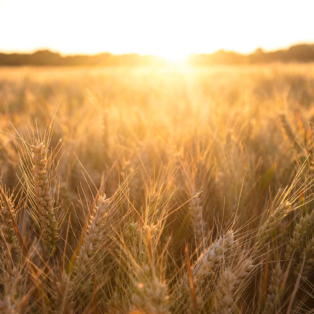 Product background image