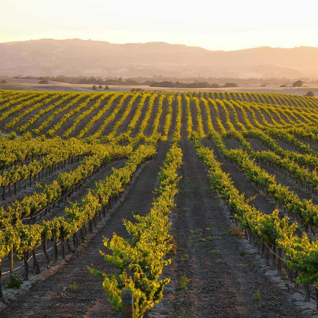 Product background image