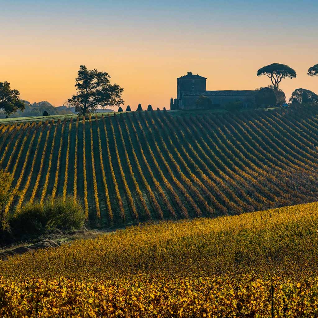 Product background image