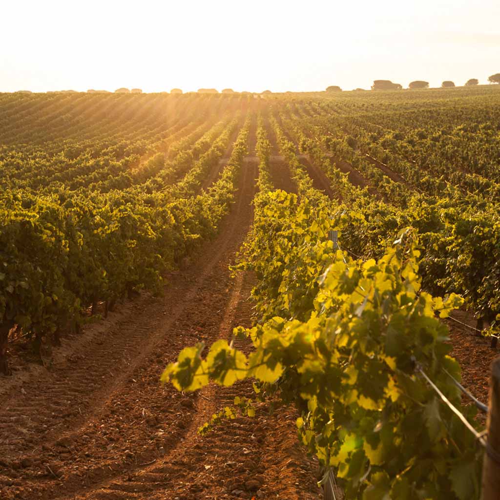 Product background image