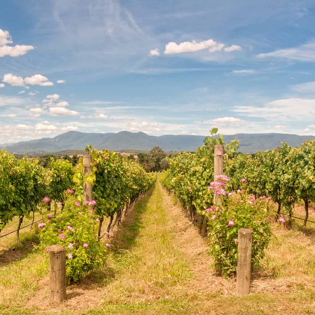 Product background image