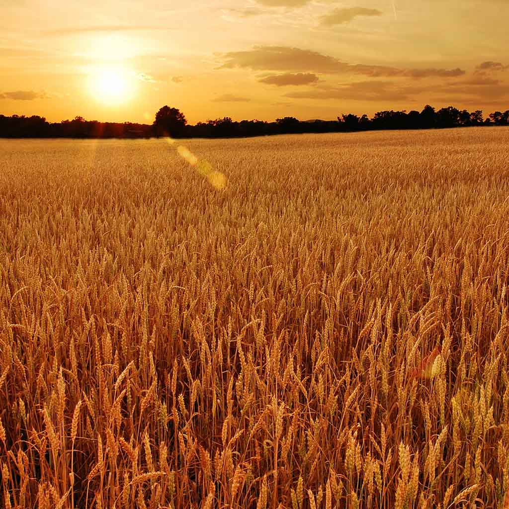 Product background image