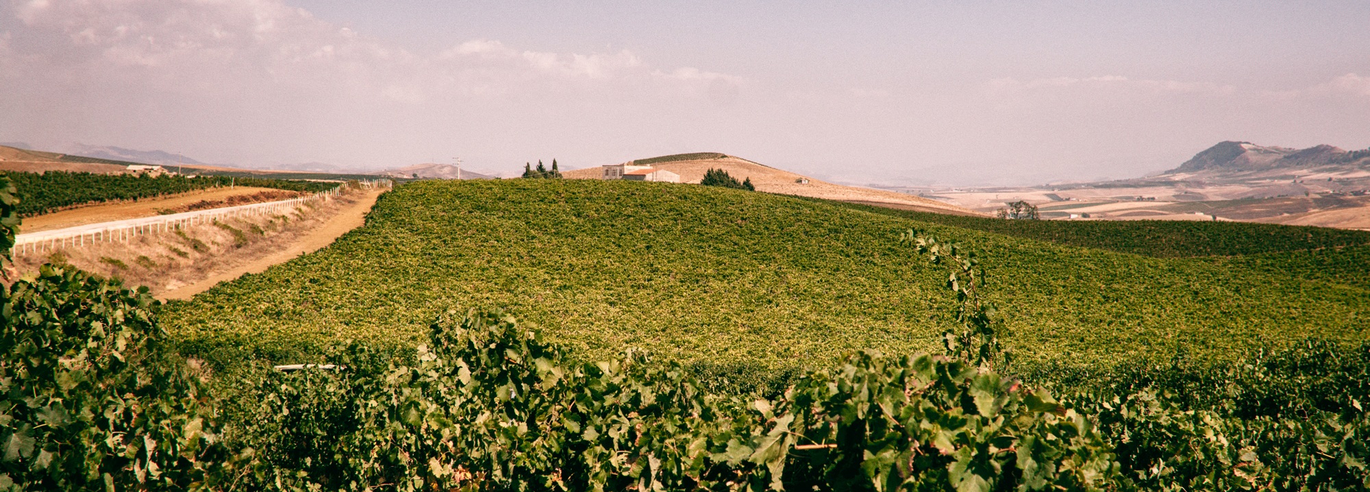 Product manufacturer image