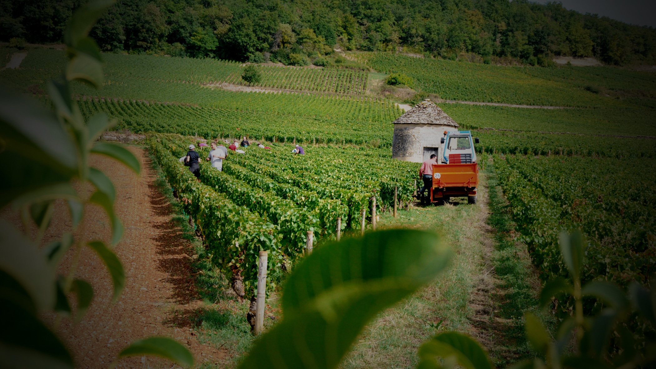Philippe och Arnaud Dubreuil
