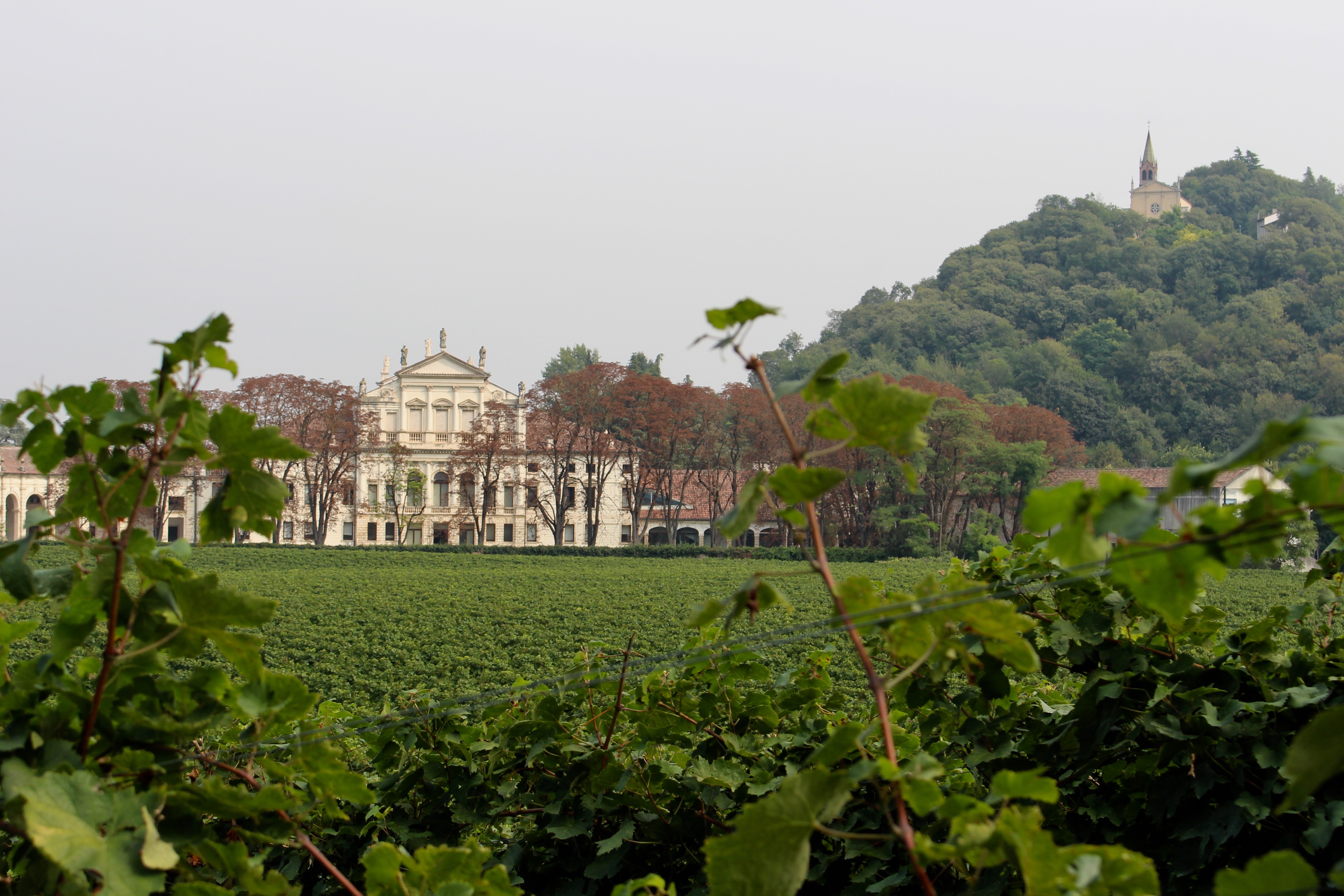 Product manufacturer image