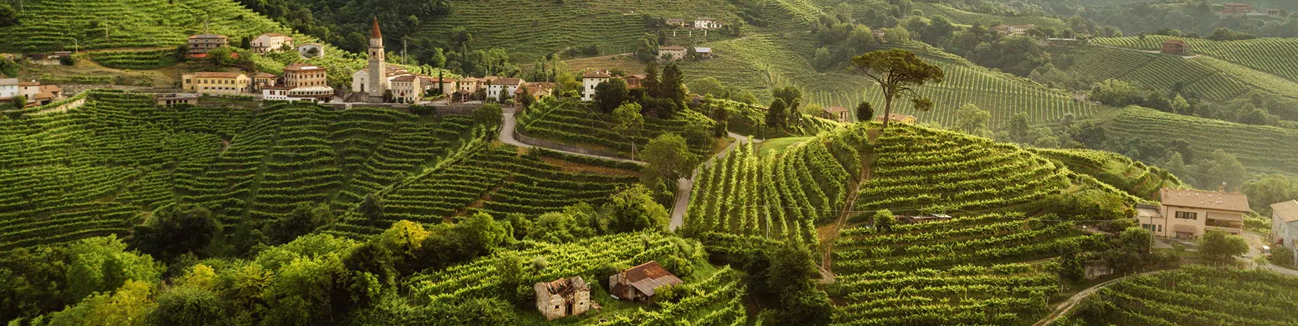 Product manufacturer image